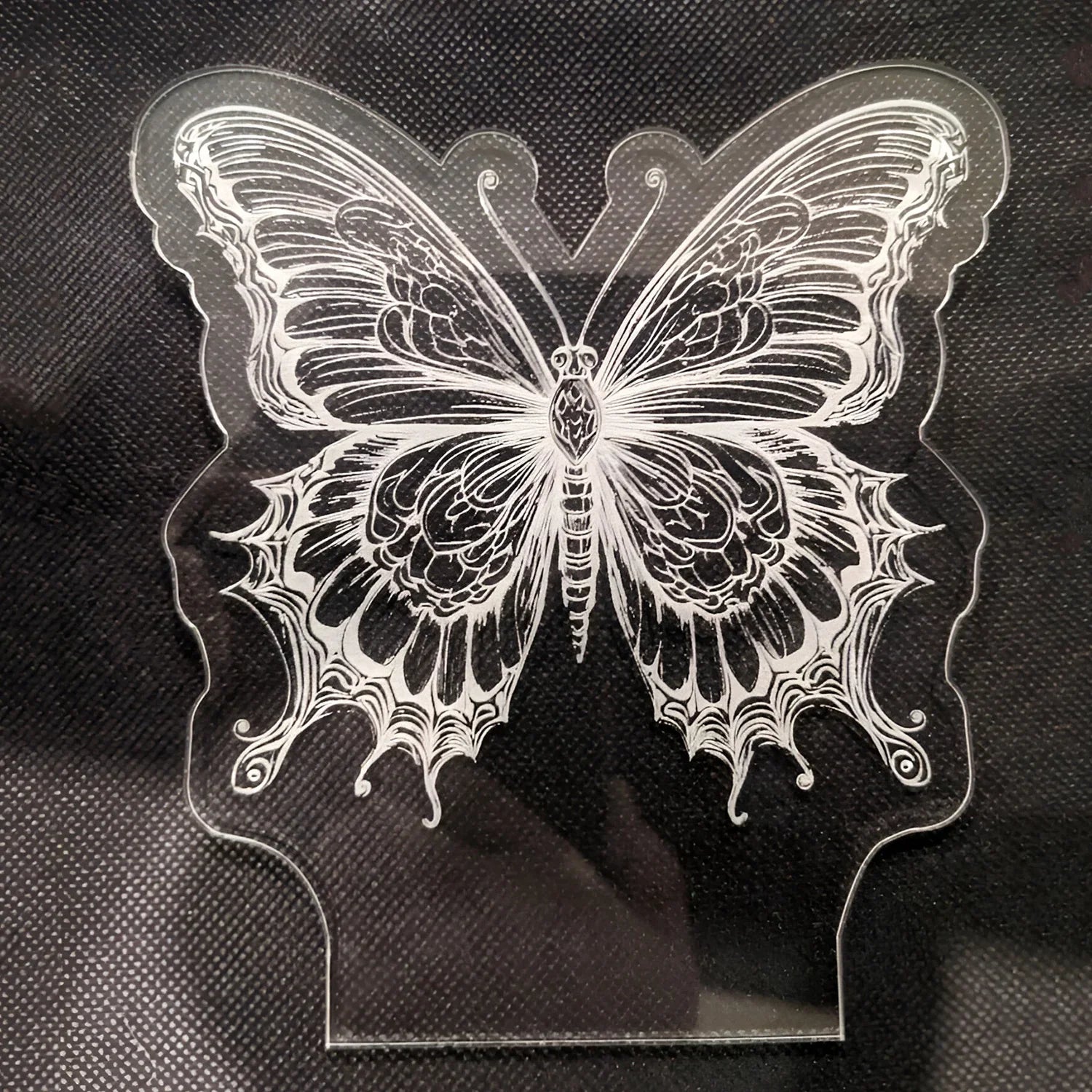 Magnificent Butterfly LED Nightlight design in close-up view